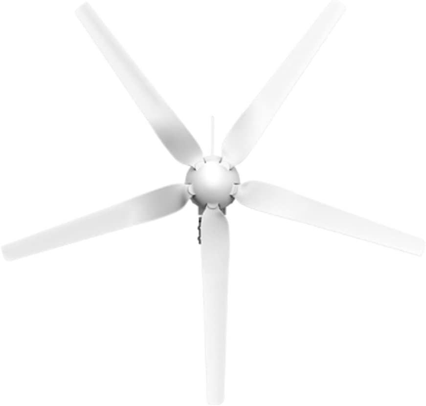 1000W 12V/24V 5 Blades Wind Generator Power Turbines Horizontal with Controller Windmill Energy Turbines Charge Wind Turbines