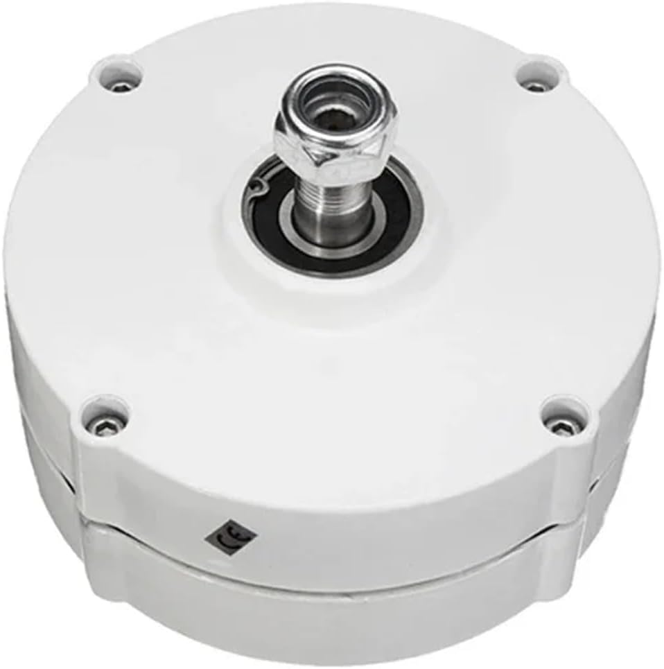 5000W Wind Turbine Generator Kit 12V24V48V AC Single Phase tor Wind Turbine High Efficiency Wind Power Generator Industrial Energy(Double Shaft,24V_8000W)