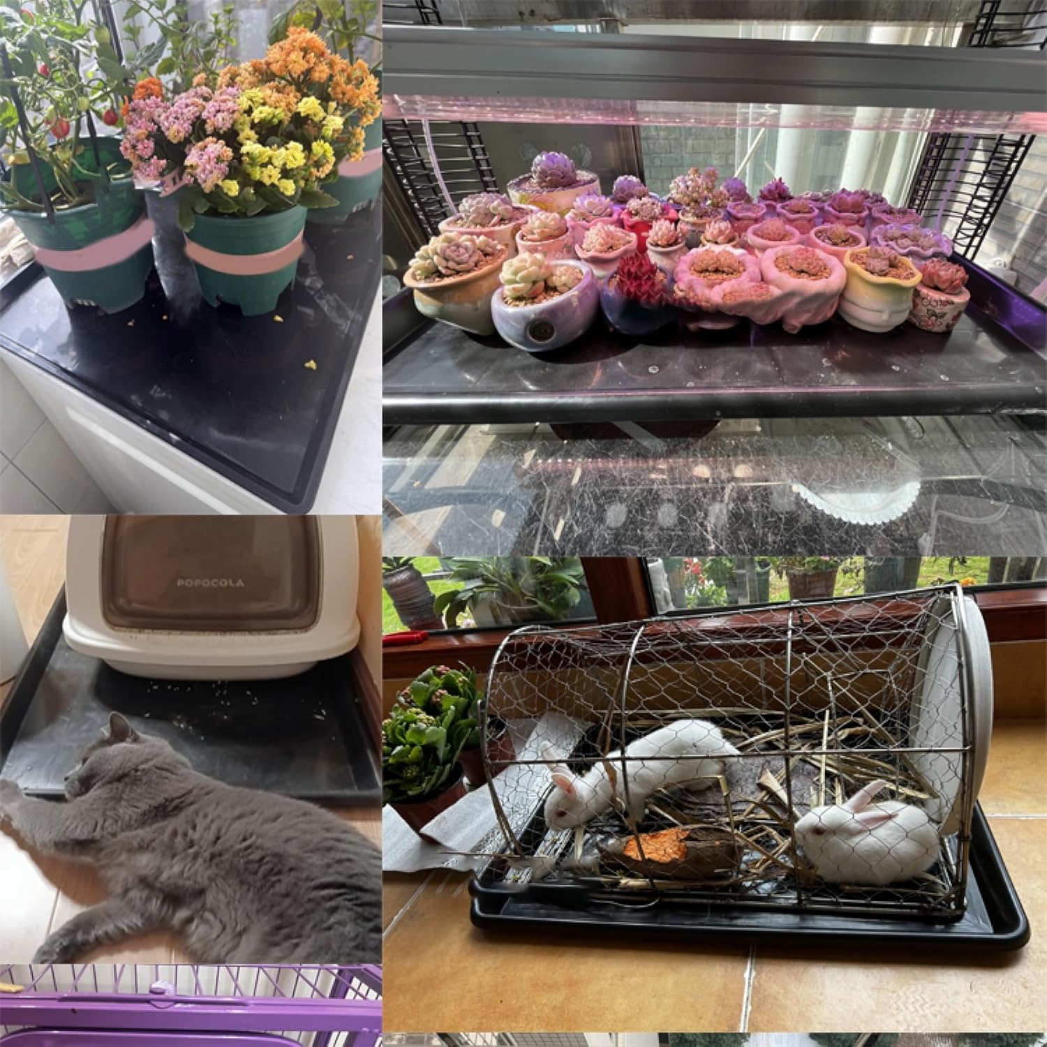 3 Large Plastic Trays Oil Drip Pan for Under Car Non-Slip Bottom Plastic Pan Refrigerator Tray Washing Machine Drip Pan(Pink,74.5x59.5x3.7cm)