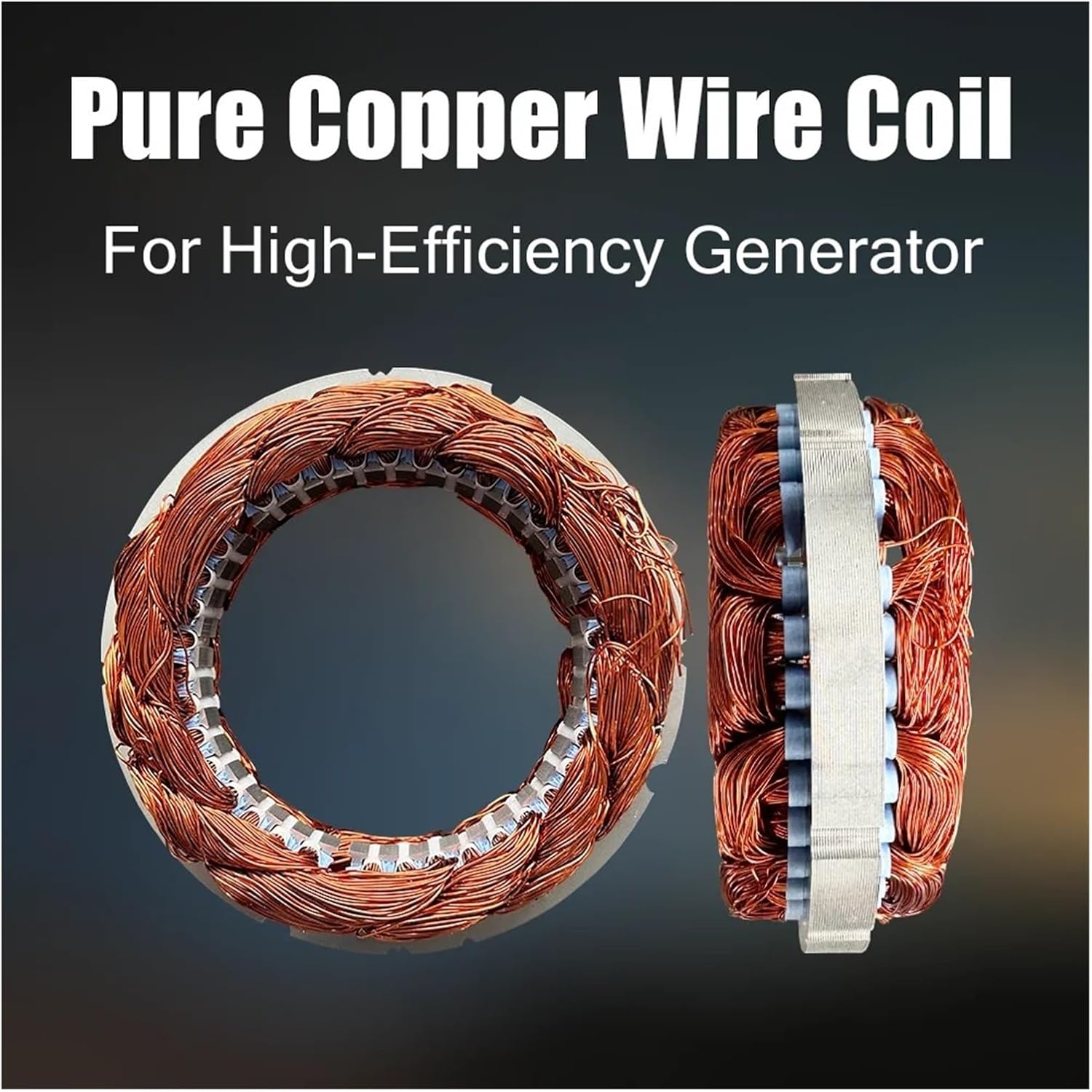 500W 12V 24V 48V Gearless Permanent Magnet Generator Turbine Low Speed for Water Conservancy and Wind Power Household Industrial Energy(Model1,24V)