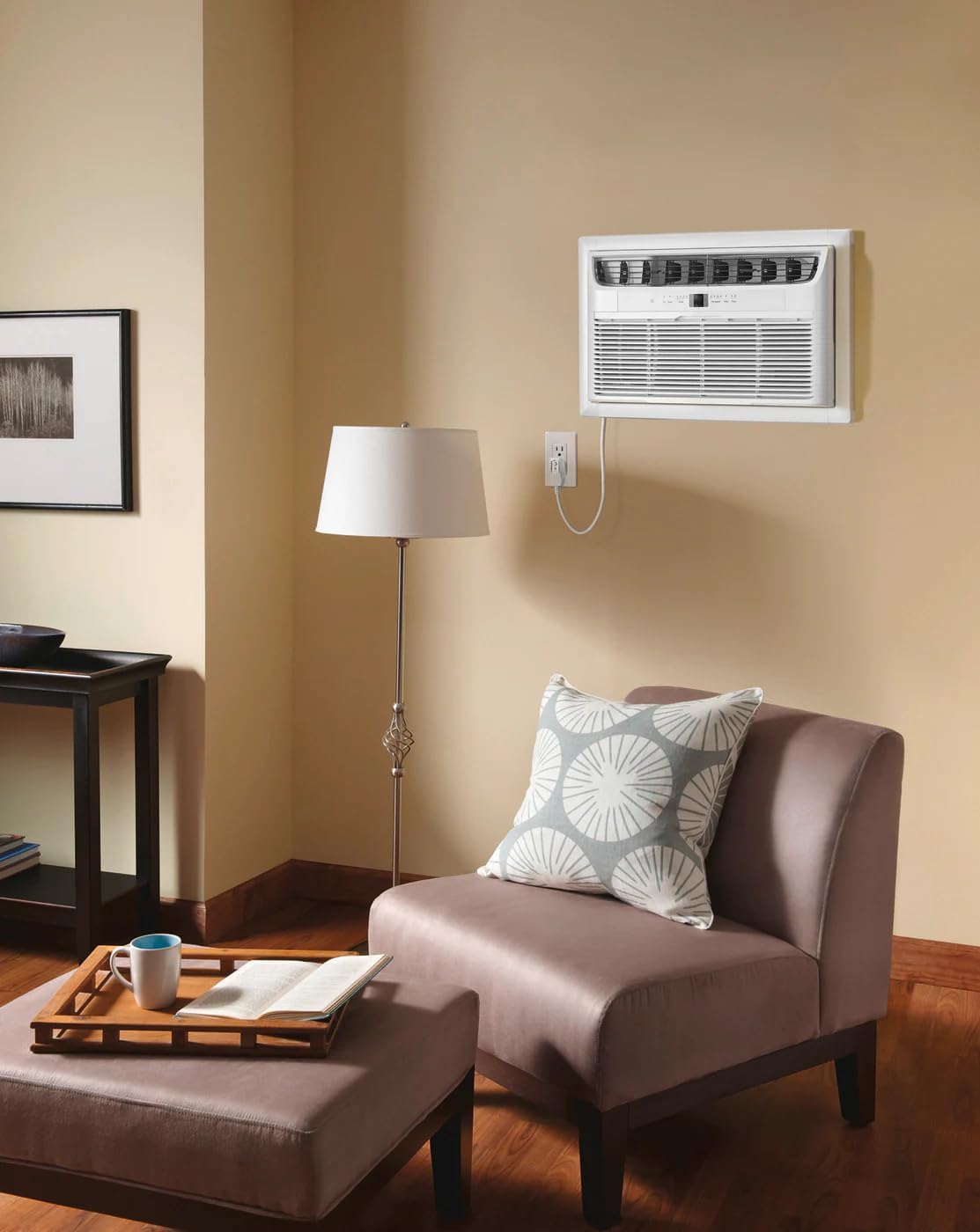 Frigidaire Through-the-Wall Room Air Conditioner, Remote Control, Washable Filter, Timer & Sleep Mode, 115/120V, White (8,000 BTU)