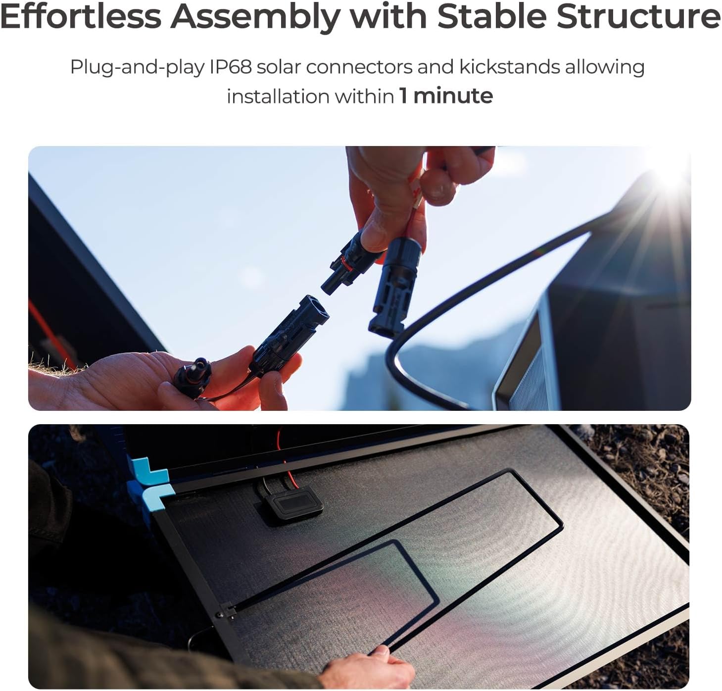 Renogy 220W Portable Solar Panel Suitcase, 23% High Efficiency Foldable Solar Charger for Power Station, Durable for Decades, with Sturdy Kickstands, IP67 Waterproof for RV Camping Off-Grid Blackouts