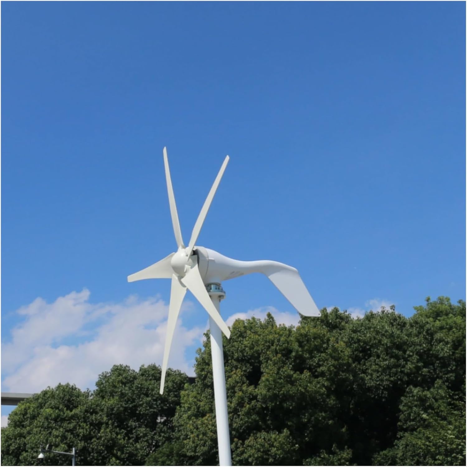 Wind Turbines, Low Speed Star Wind Turbine nerator 12V 24V 48V 800w Free Alternative Energy Windmill(24v)