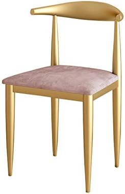 Modern Kitchen Dining Room Chairs Metal Legs Living Room Dining Chair Soft Velvet Cushion Seat for Living Room Terrace Office Kitchen Lounging (Color : Pink)