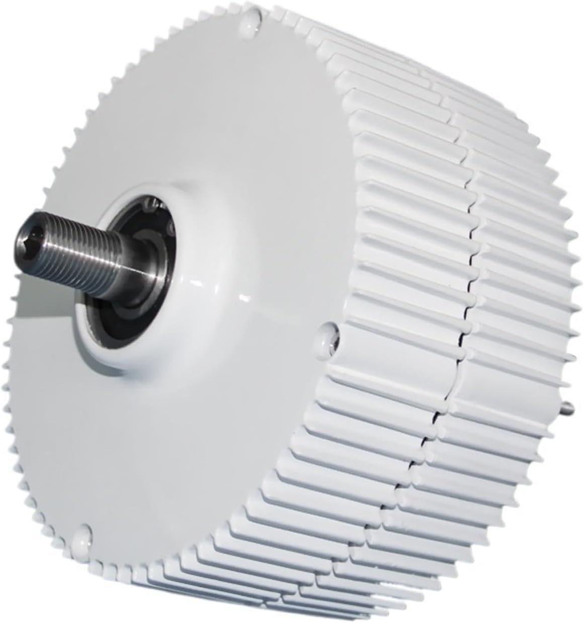 PMG 1000w Wind Generator 12V 24V 48V 750 Rpm AC DC Power Magnetic Dynamo Water Hydro Alternator Free Energy(Silver,12V_1000W)