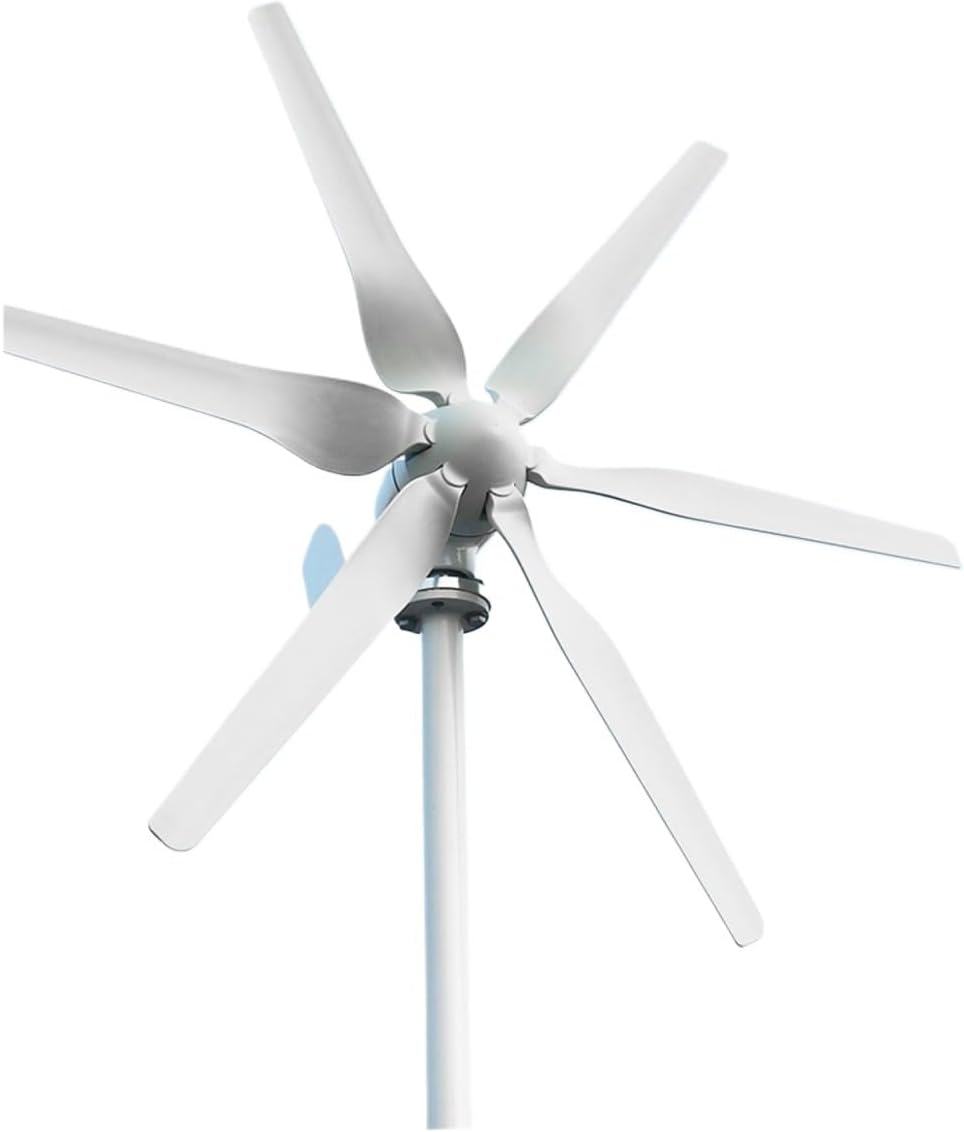 800W 1KW 12V 24V Horizontal Wind Turbine Generator Complete Set Windmill MPPT Charge Controller Small Generador Industrial Energy(6 Blades,with MPPT Controller_24V)