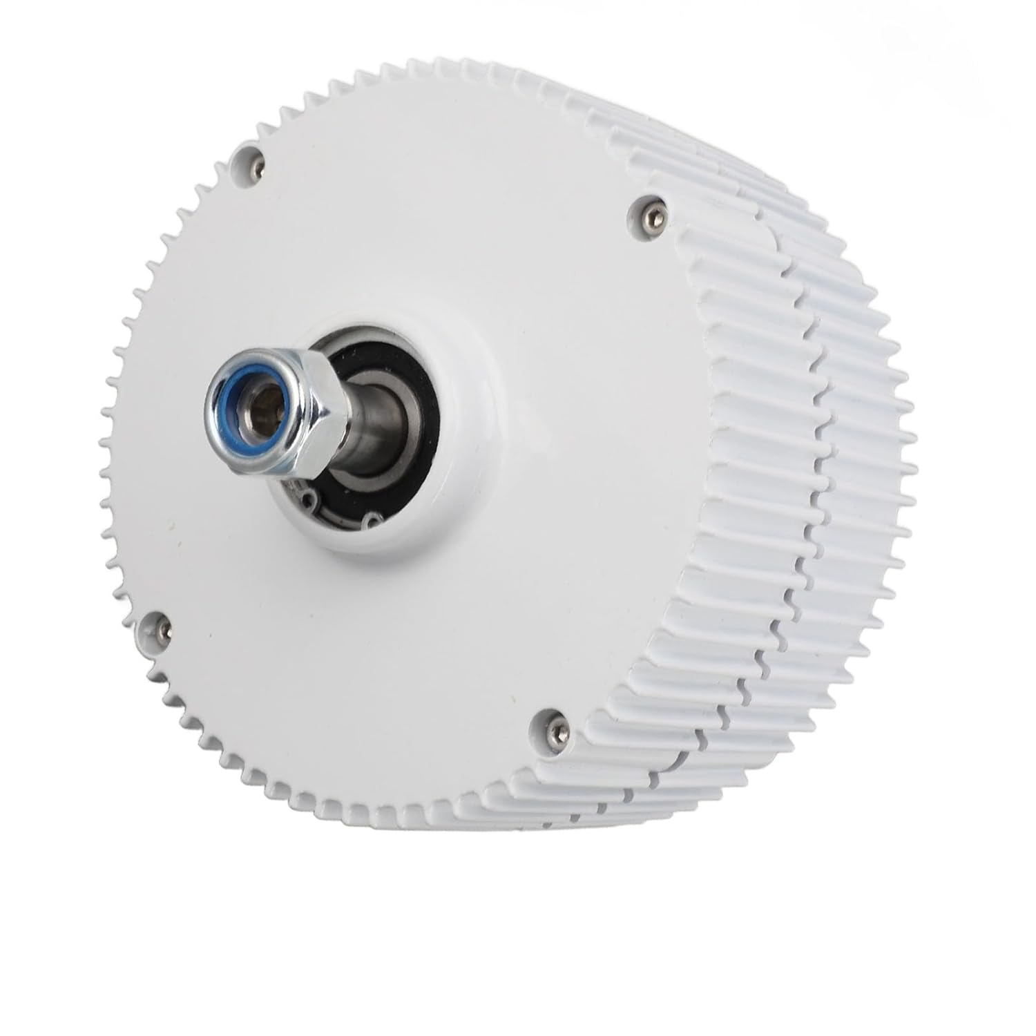 48V Double Shaft Generator 3 Phase Permanent Magnet Synchronous AC Electric Motor for Wind Turbines (300W)