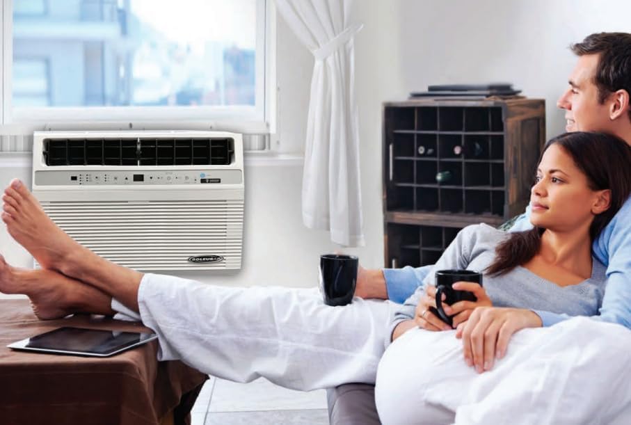 Soleus Air 10,000 BTU Over-the Sill Saddle Hybrid Air Conditioner w/Heat: Wi-Fi Enabled, Quiet Operation, Window View Friendly (Up to 12.5