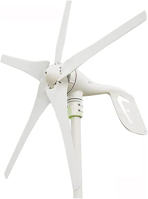 Wind Turbines,Wind Generator Turbine Wind Turbine Generator 12v 24v for Dc Output,12V (24V)