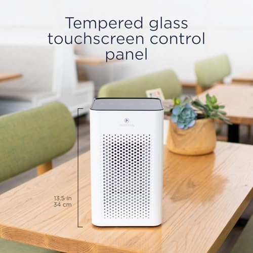 Medify MA-25 Air Purifier with True HEPA H13 Filter | 825 ft² Coverage in 1hr for Allergens, Smoke, Wildfires, Odors, Pollen, Pet Dander | Removal to 0.1 Microns | White, 2-Pack