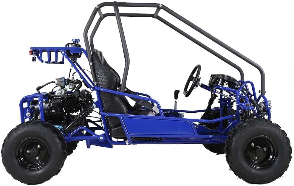 HHH Gokart 125cc go Kart Kandi Raptor 125cc Gokart Fully Automatic LED Lights and Reverse Youth Kids 2 Seater Gokart (Black)