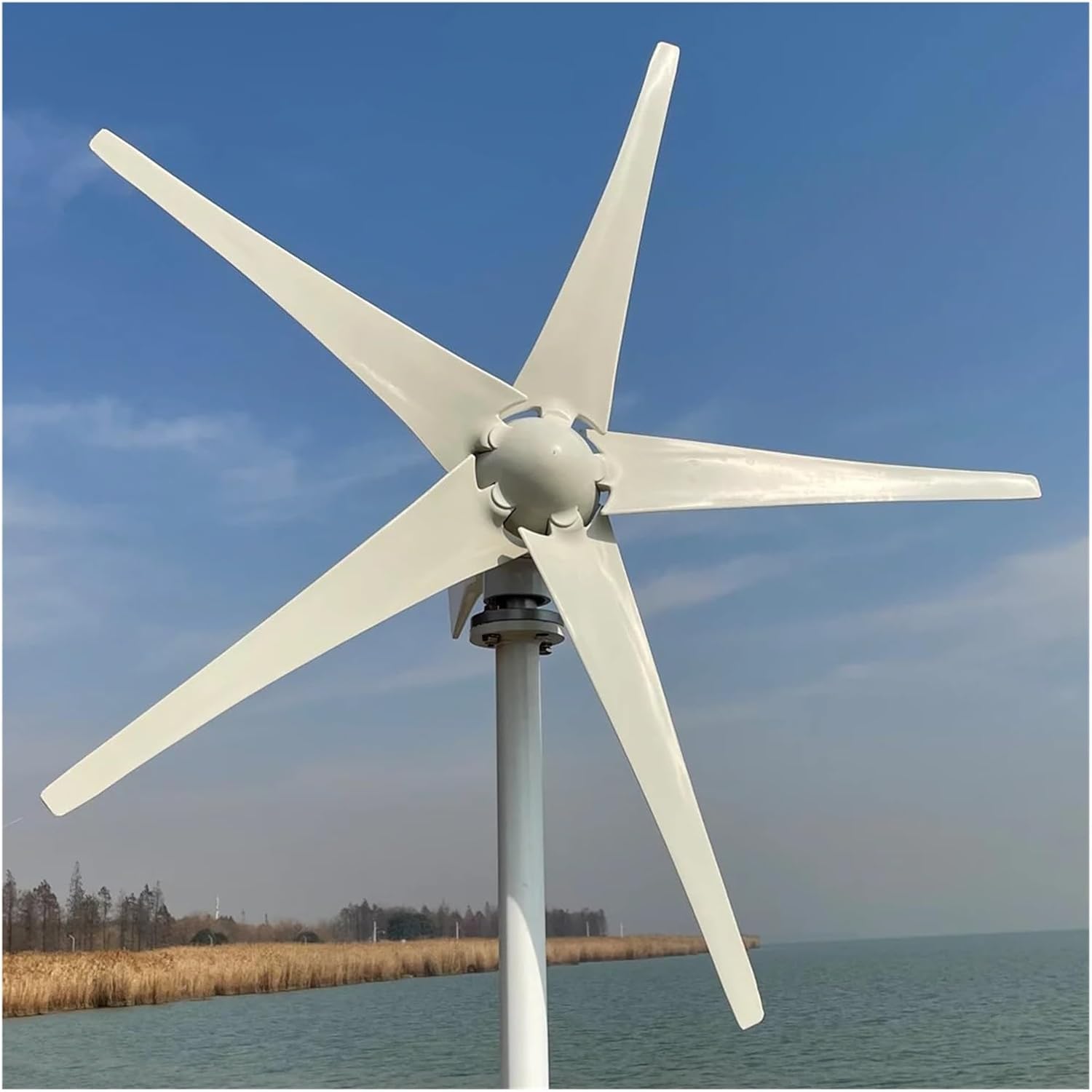 5000W Horizontal Wind Turbine Generator 5 Blades 48V 24V with MPPT Charger Controller Off Grid System for Home Use Industrial Energy(with Mppt Controller,12V)