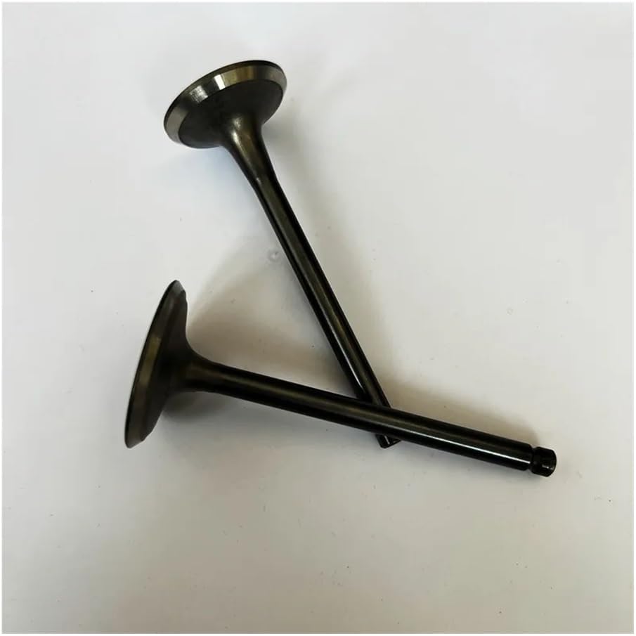 .& Set Fit for EX40 I4 E4 Engine Generator Inlet Outlet