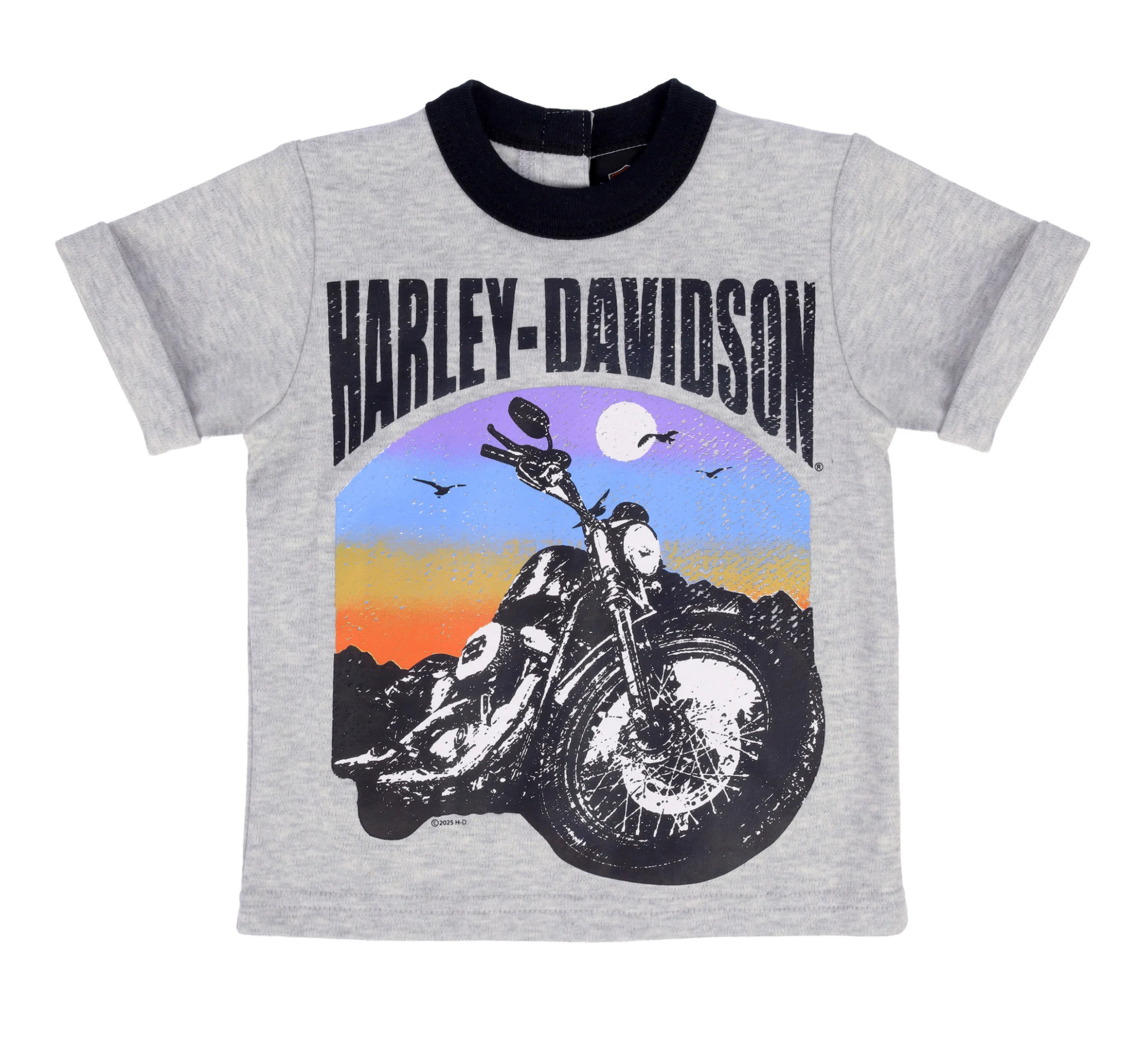 Infant Boys Knit Short Set