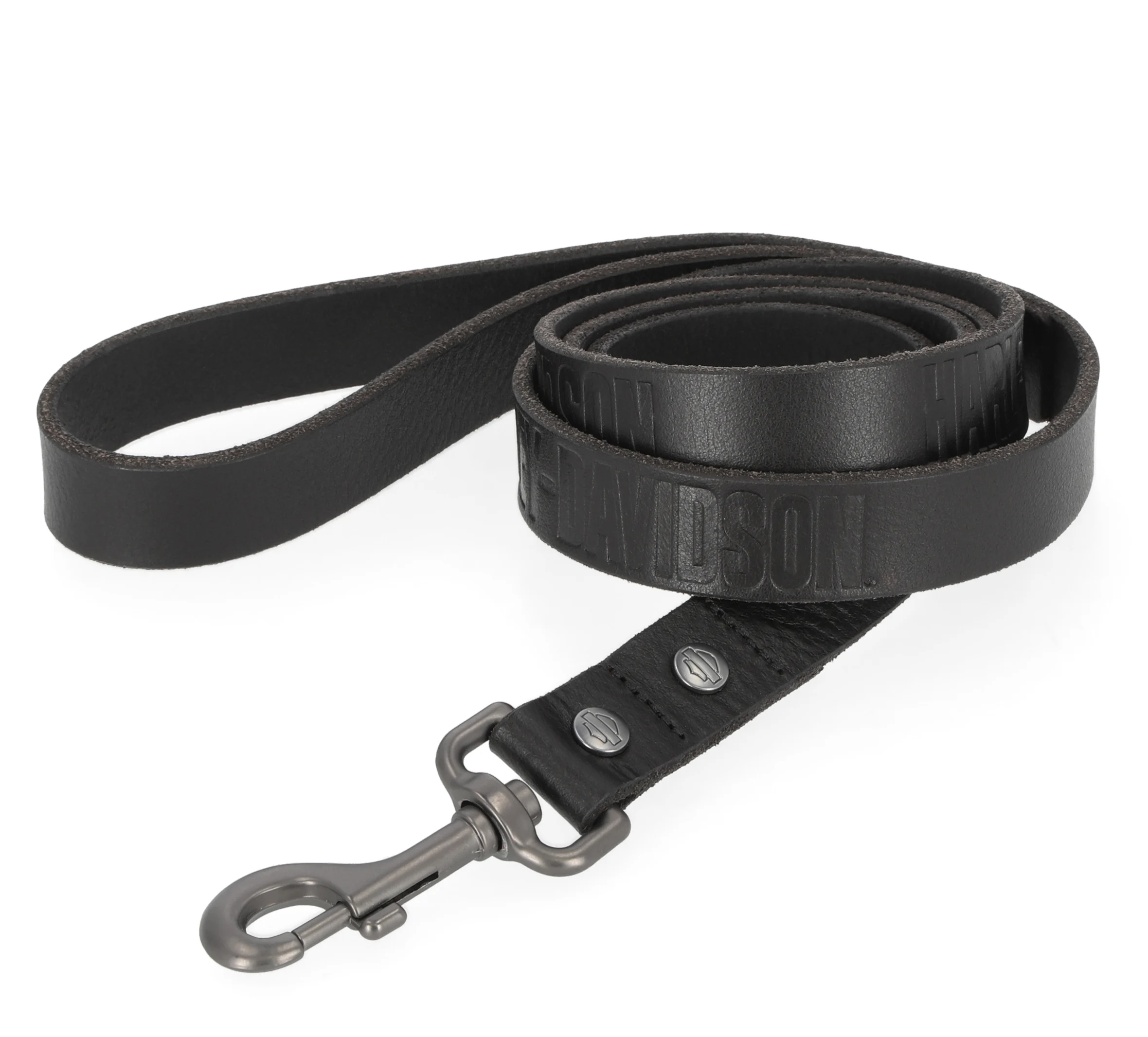 Leather Dog Leash Black - 5'