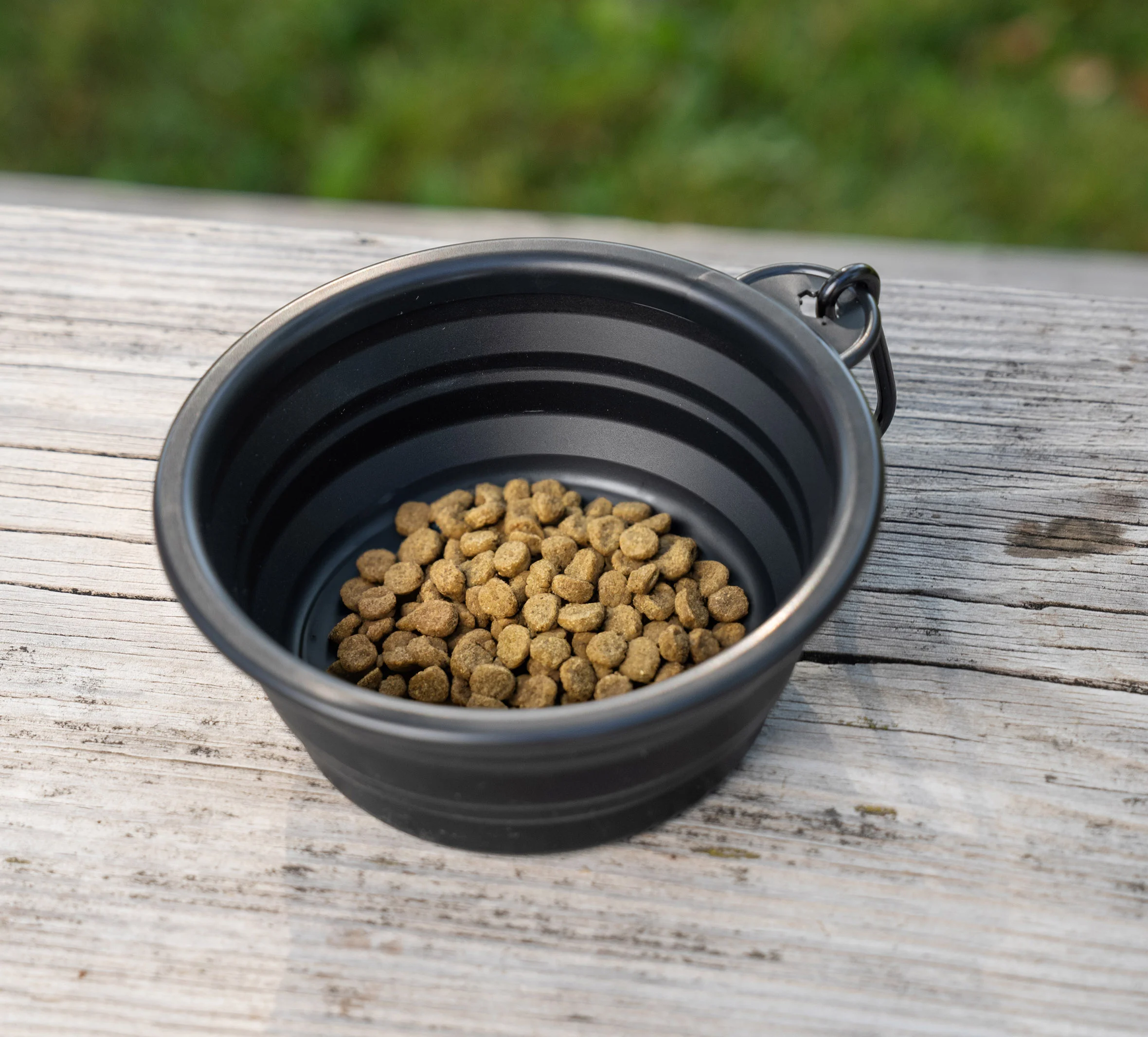 Collapsable Pet Bowl