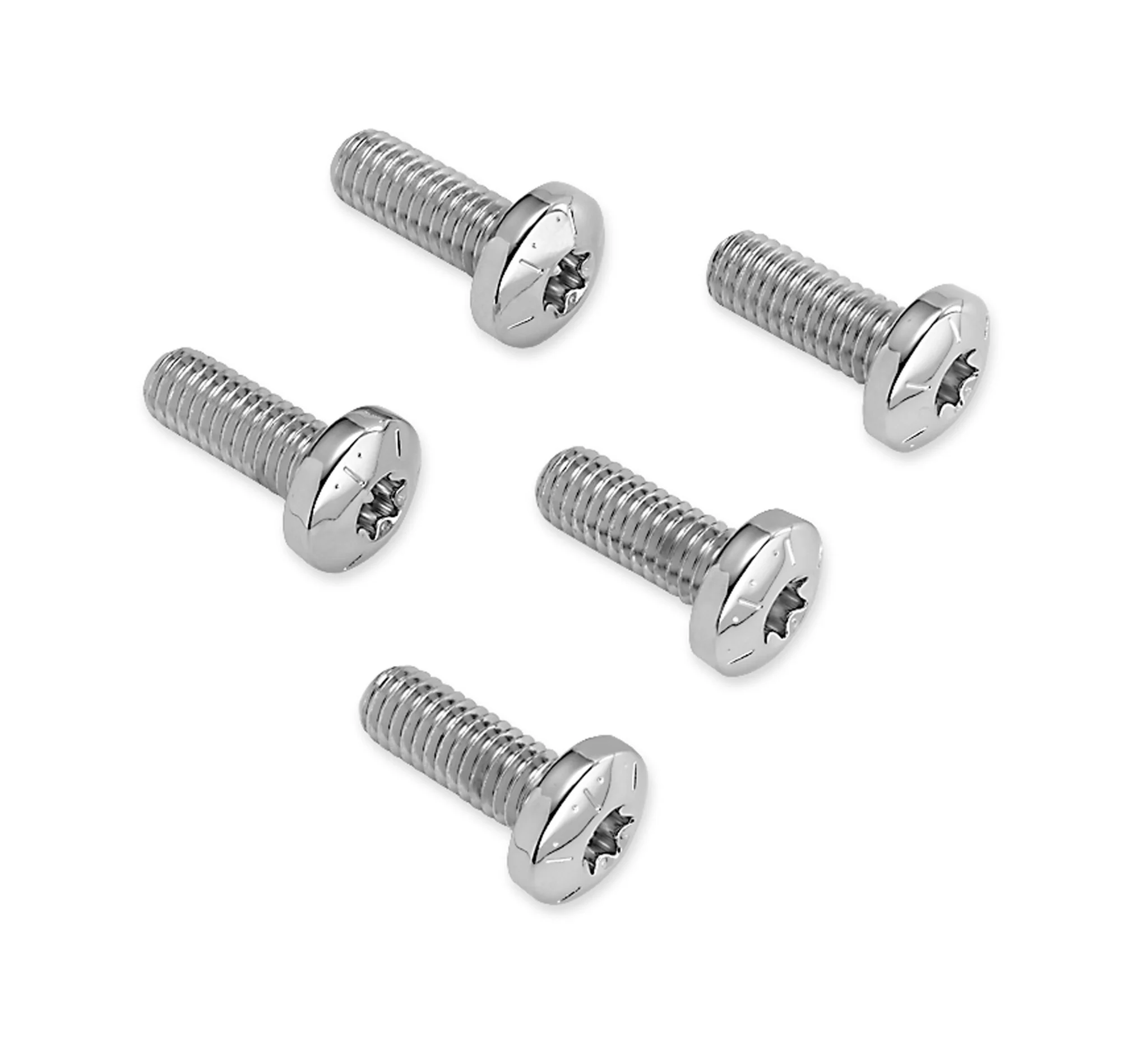 Chrome Rear Brake Disc Hardware Kit