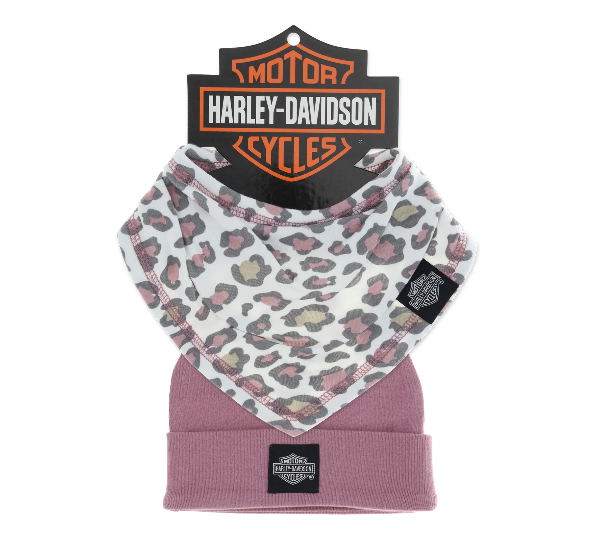 Infant Girls Bib & Beanie Set