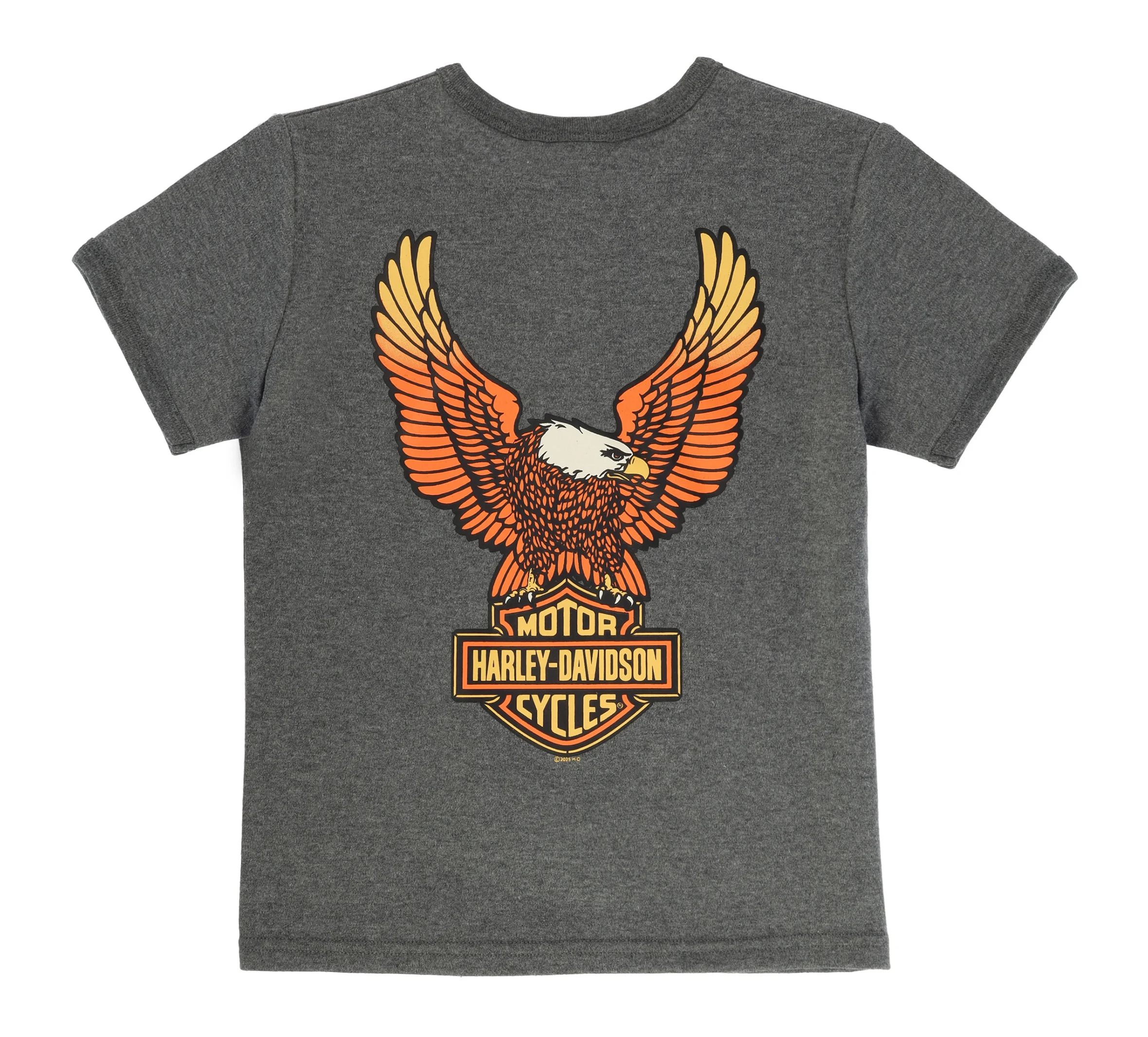 Little Boys Knit Henley