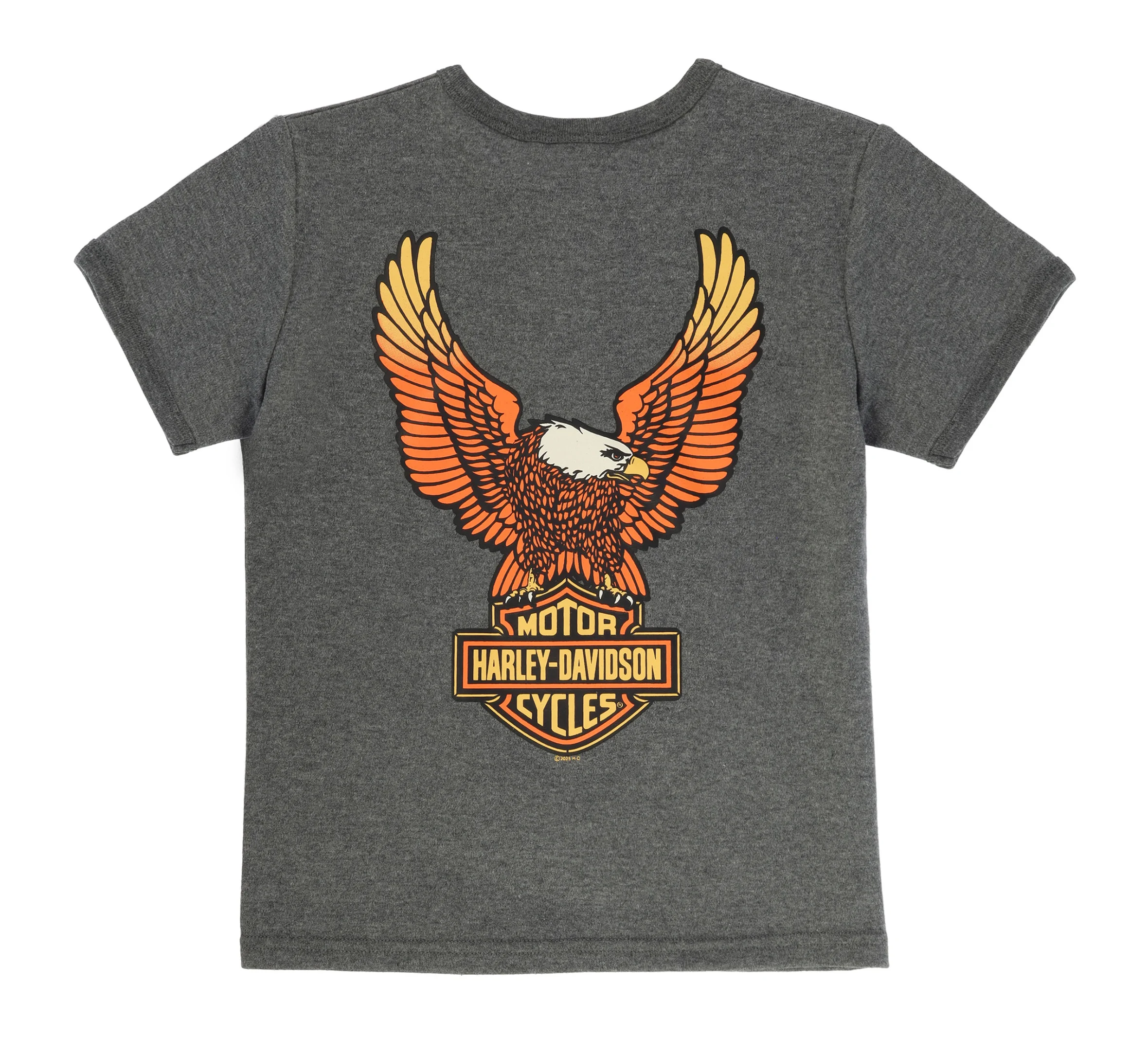 Big Boys Knit Henley