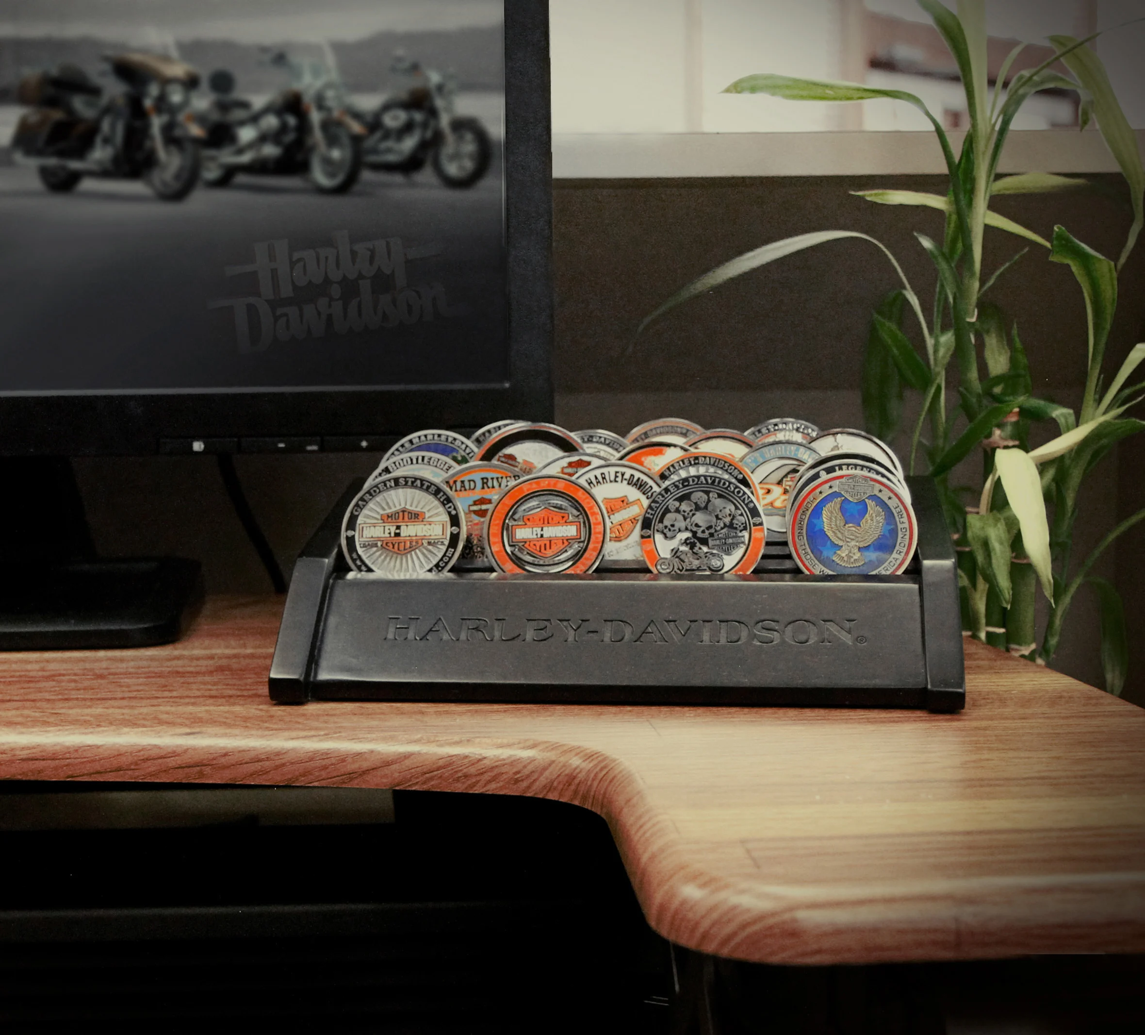 H-D Wood Small Coin Holder