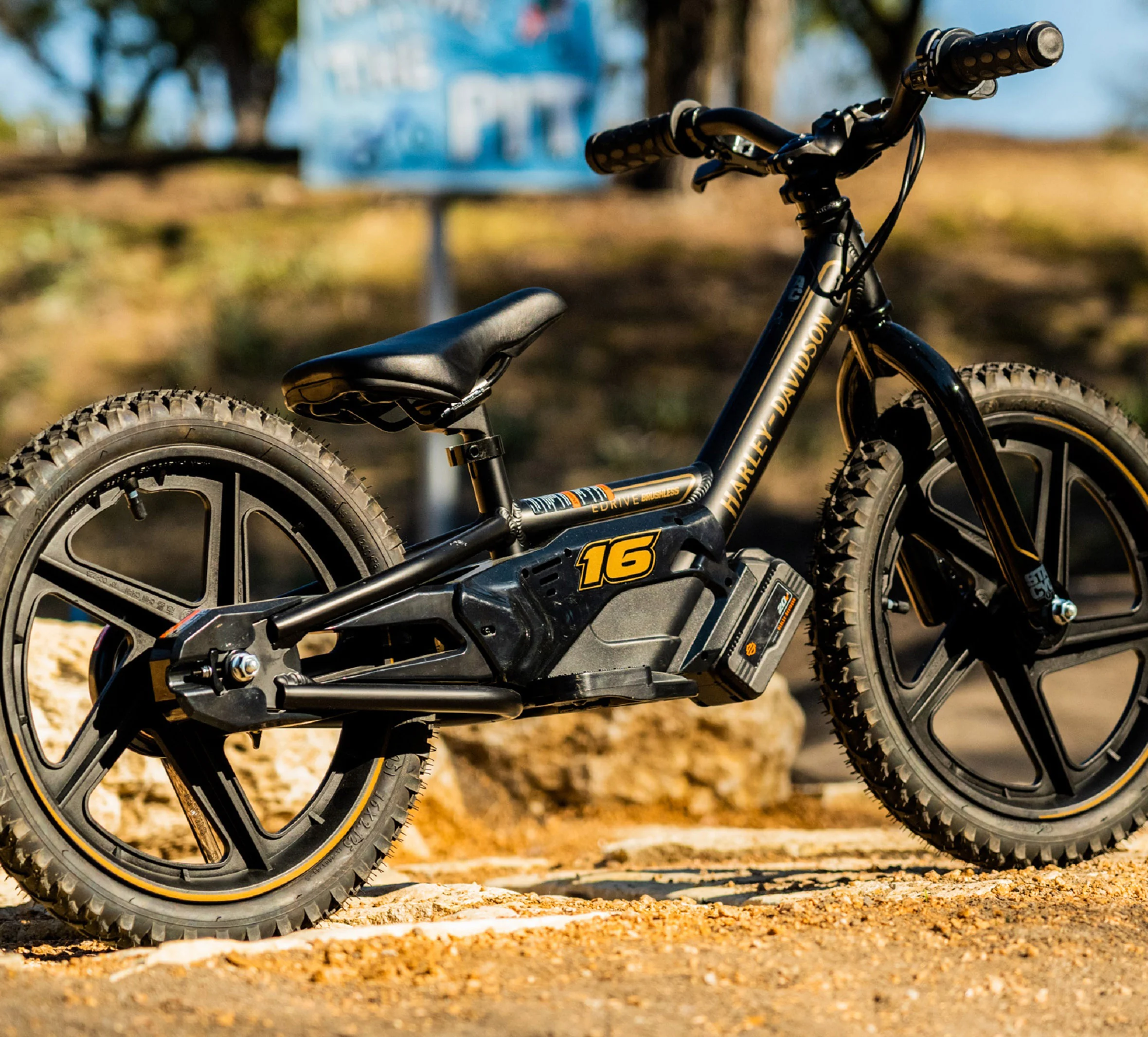 EBike 16E Low Rider Edition