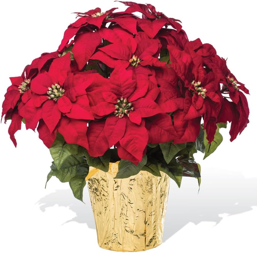 Petals - Large Premier Silk Holiday Poinsettia - Handcrafted - Amazingly Lifelike - 23 x 22 Inches (Red)