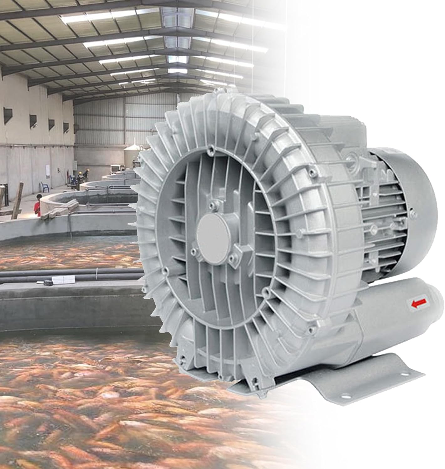 220V/380V Aeration Oxygenation Machine for Fish Ponds & Pools, 350W Industrial Blower, Regenerative Blower with Dust Filter, Efficient Aerator for Aquaculture