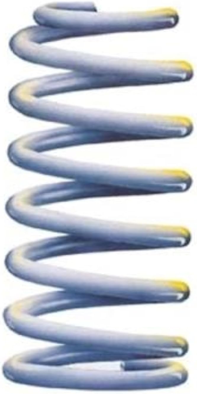 ARB 2859 Old Man Emu Coil Spring