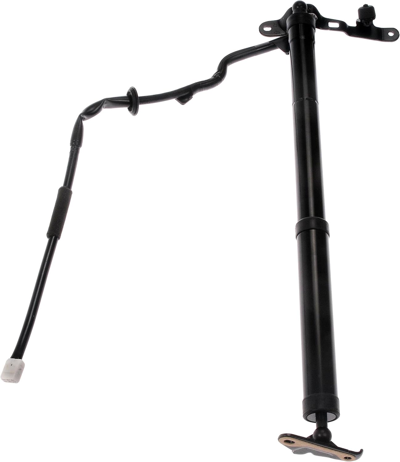 Dorman 747-202 Passenger Side Liftgate Cylinder Compatible with Select Toyota Models