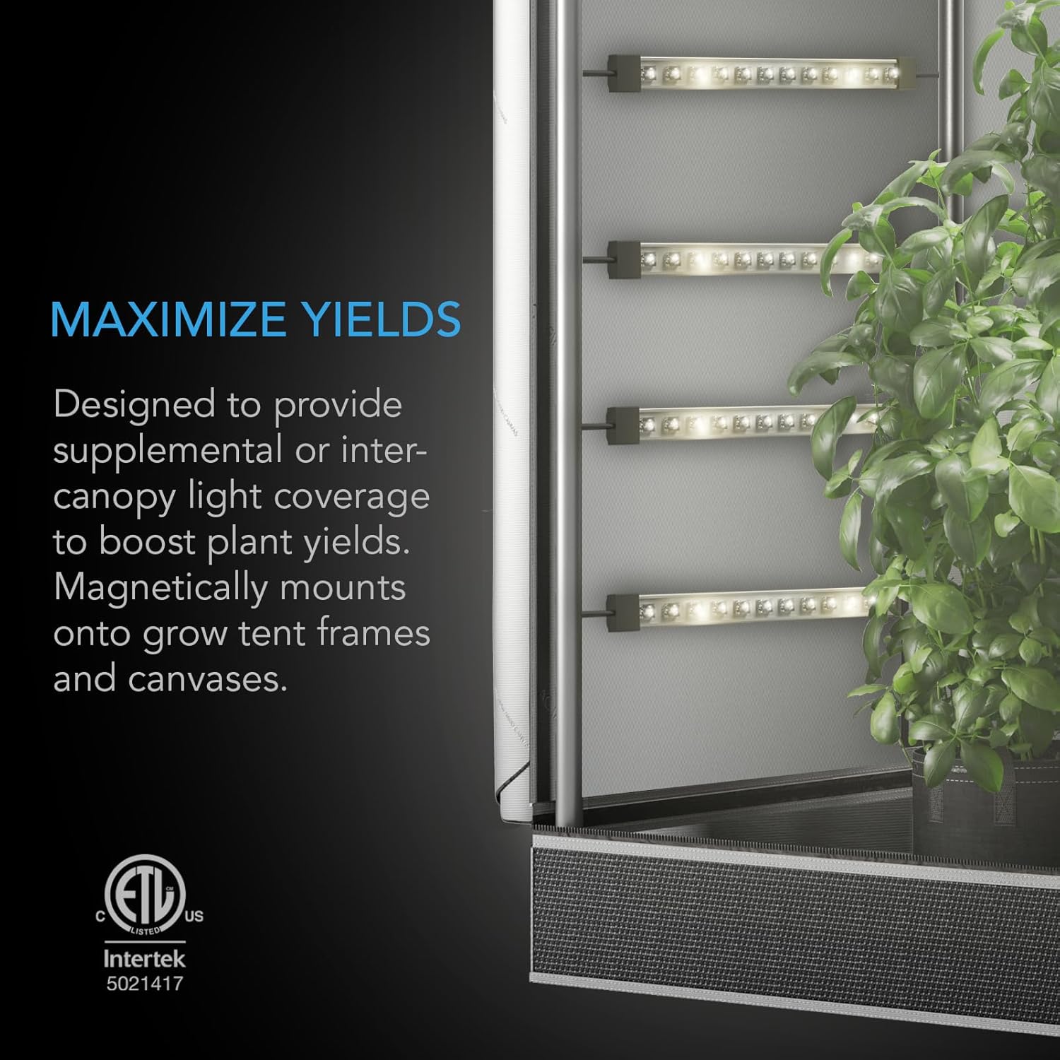 AC Infinity IONBEAM S11, Full Spectrum LED Grow Light Bars 11”, Deeper Penetration Samsung LM301H EVO Diodes and Digital Dimming Timer Controller, for Veg Bloom Indoor Plants, Grow Tents, Greenhouses