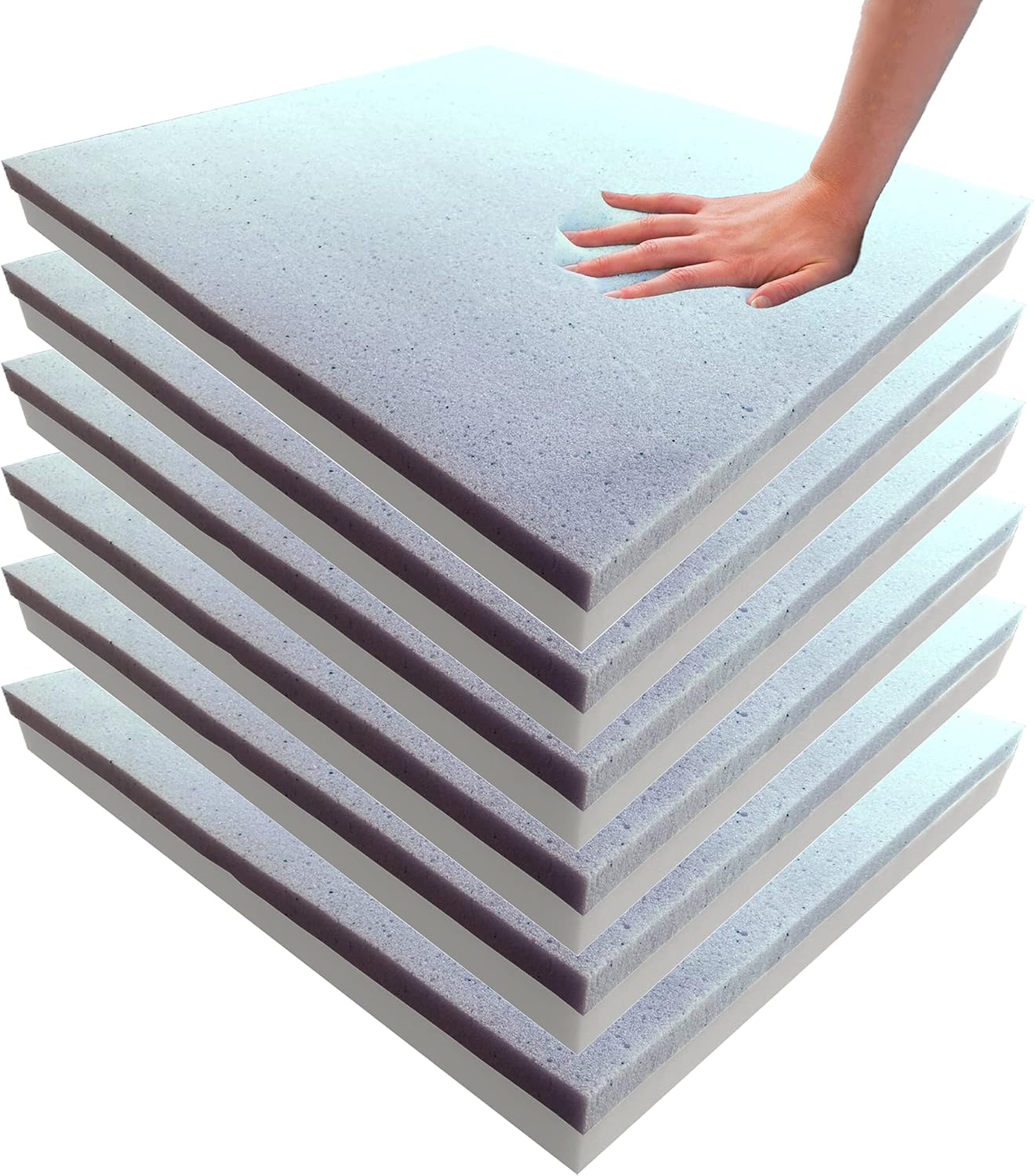 Foamma (6-Pack 2