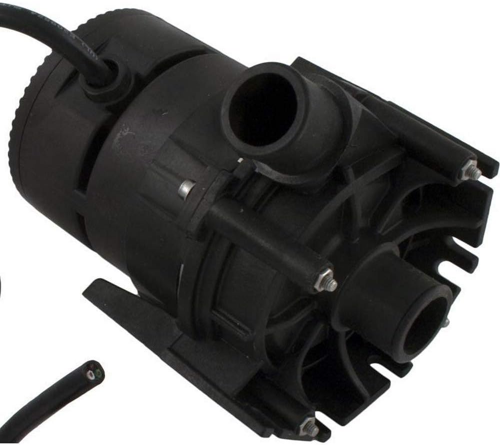 Laing Pump 1