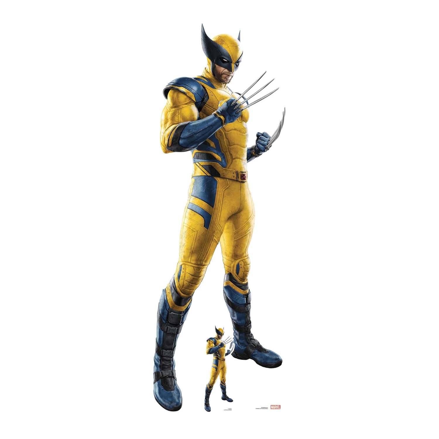 Star Cutouts Wolverine Hugh Jackmann Cardboard Cutout with Free Mini Standee Marvel Parties, Wolverine Fans, Birthdays, Gifts, Parties & Fans