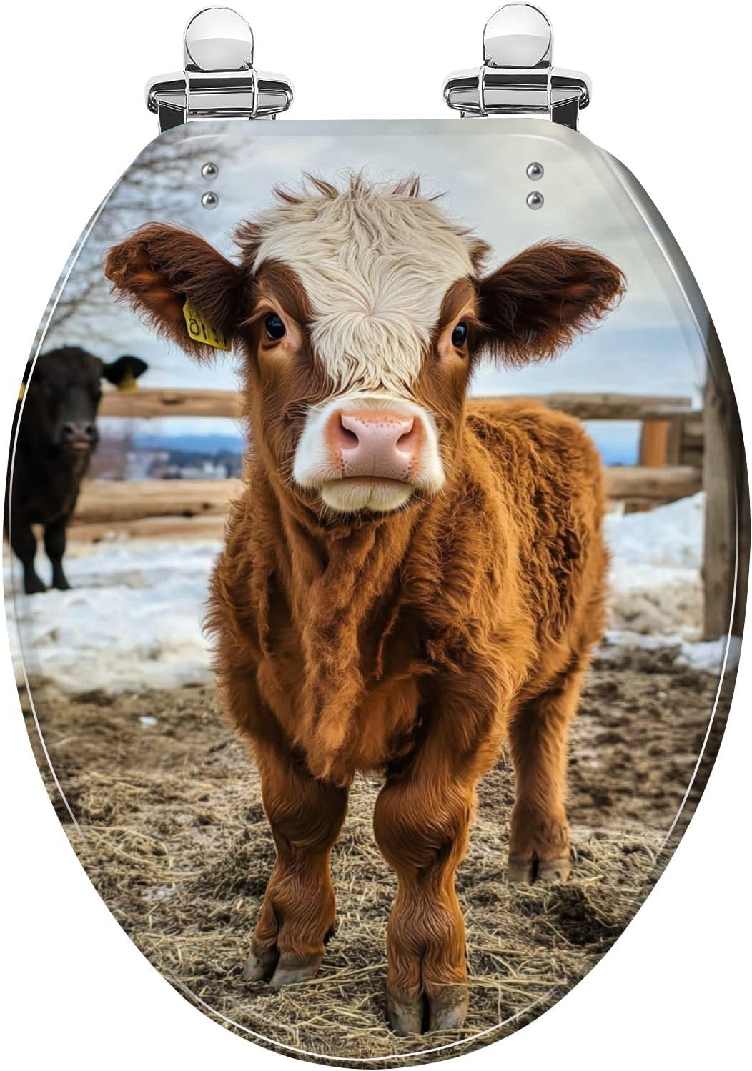 Elongated Toilet Seat hairy baby highland cattle cow winter portrait Resin Toilet Seat Quietly Close Quick Release Hinges with Cover Bumpers Decorative Easy to Install Clean