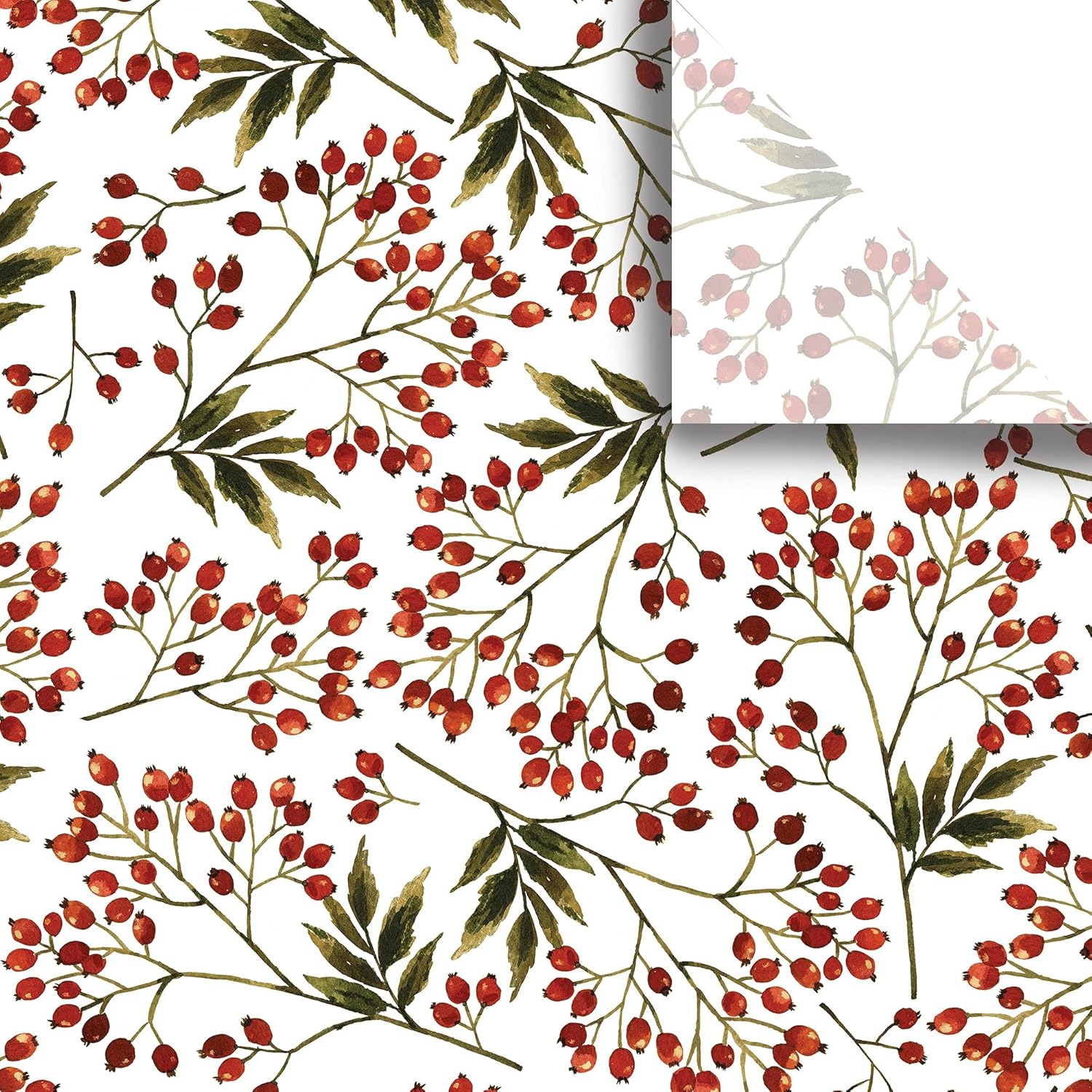 Jillson Roberts Printed Gift Tissue 20