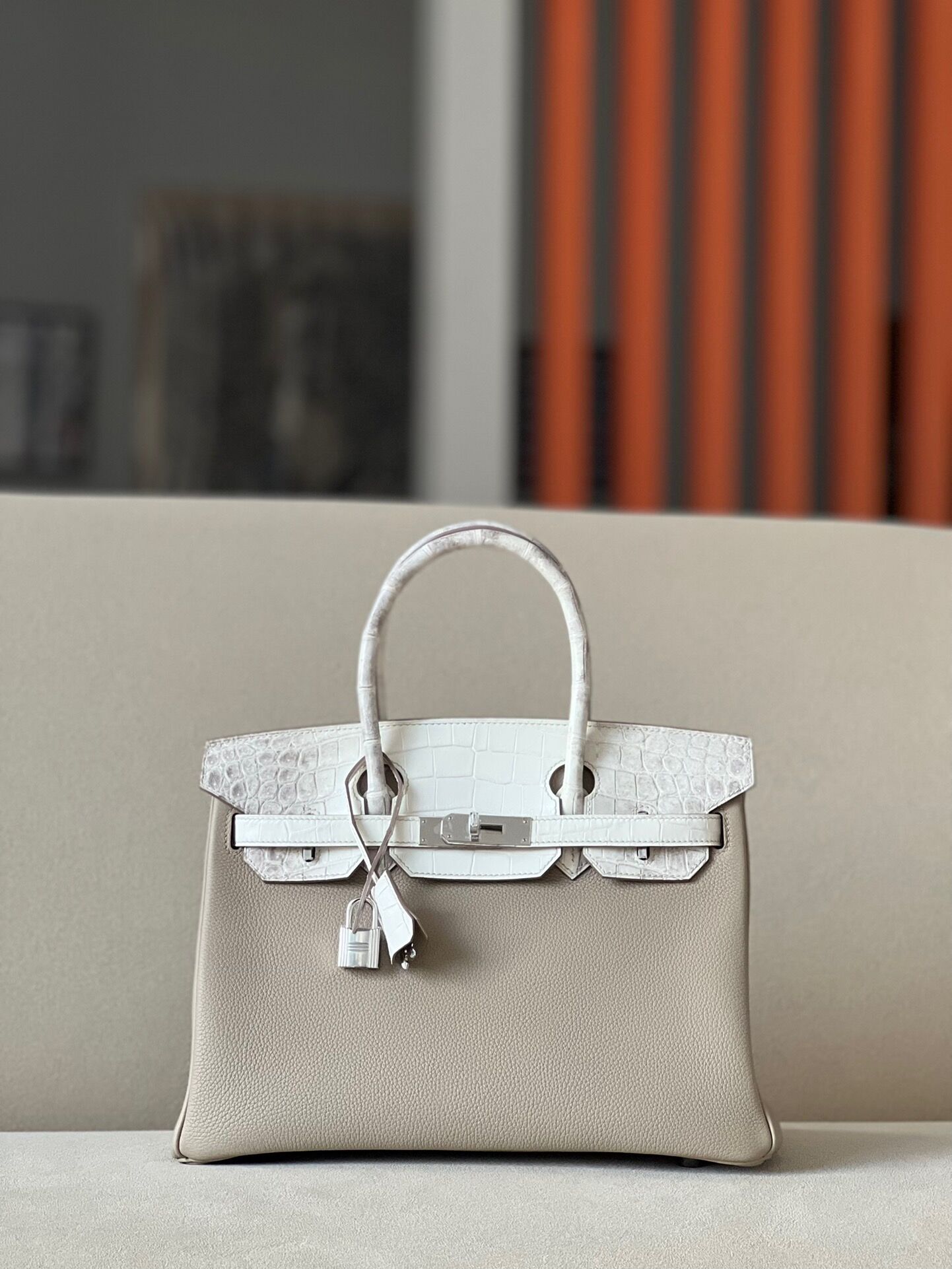 Birkin 30 TOGO crocodile skin