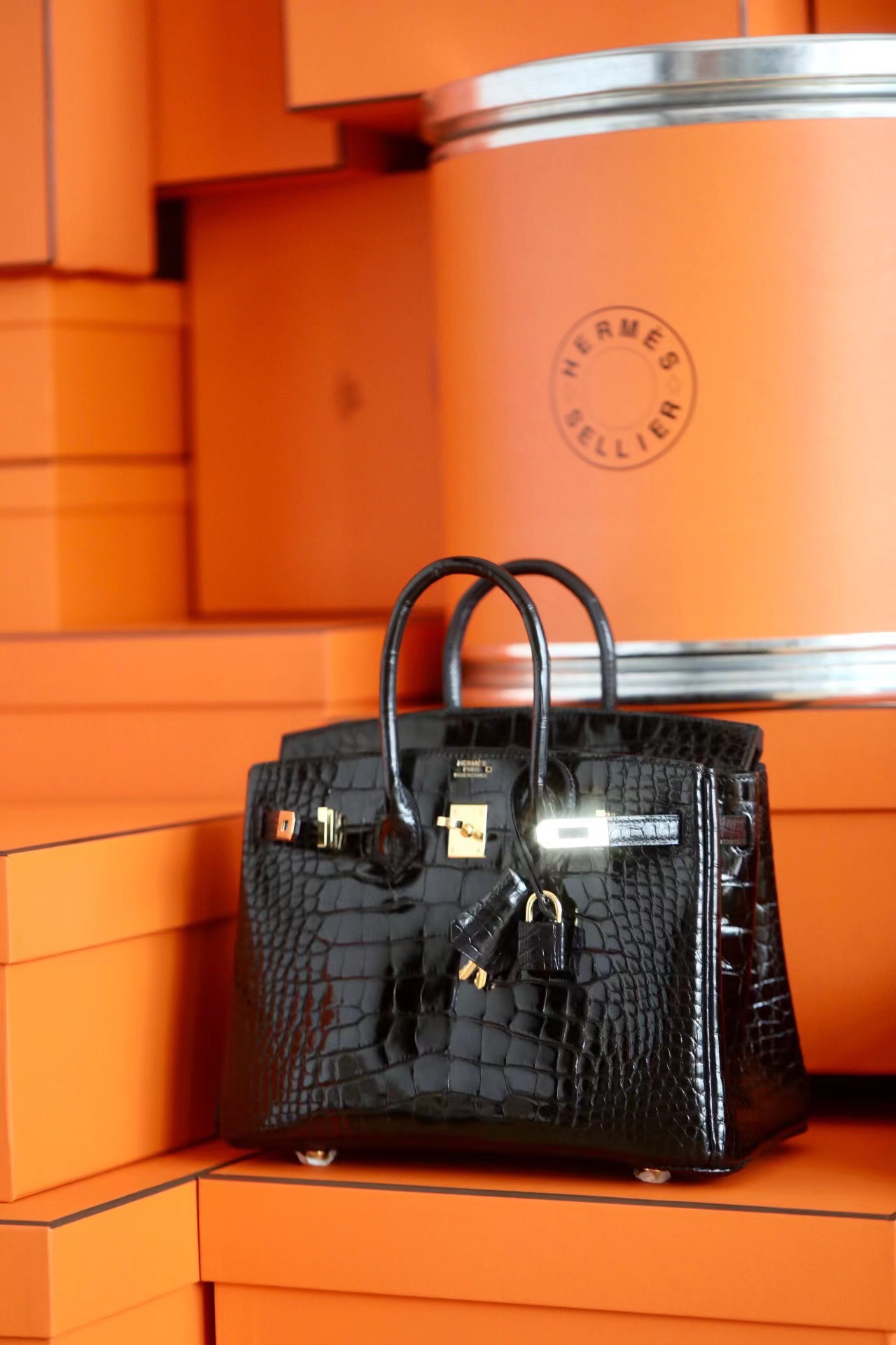 Advanced customization Birkin 25-30 crocodile skin