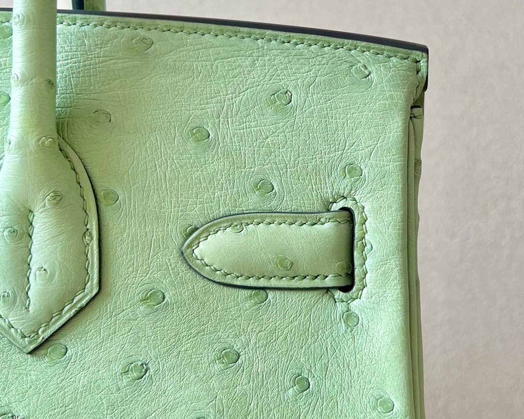 Advanced customization Birkin 25-30 Ostrich skin