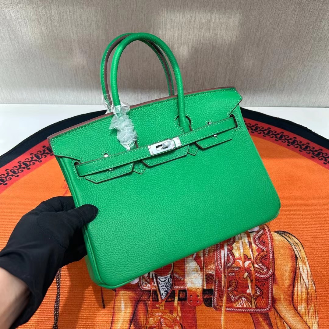Birkin  25-30 TOGO