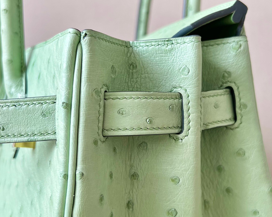 Advanced customization Birkin 25-30 Ostrich skin
