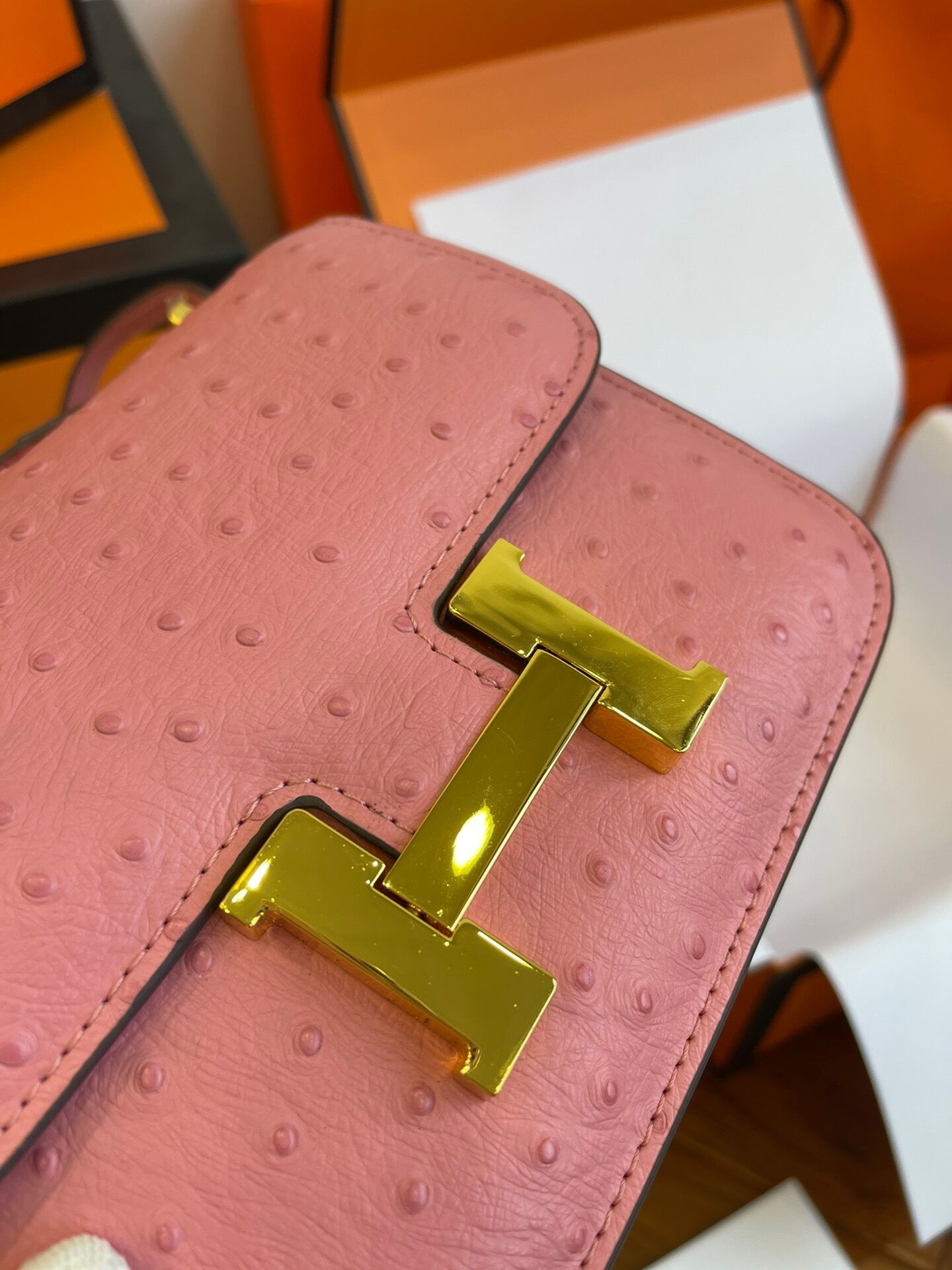 Constance Mini 19-24