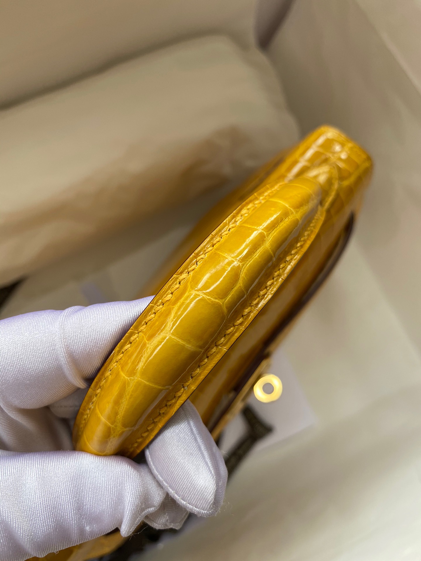 Advanced Customization Kelly 25 crocodile skin