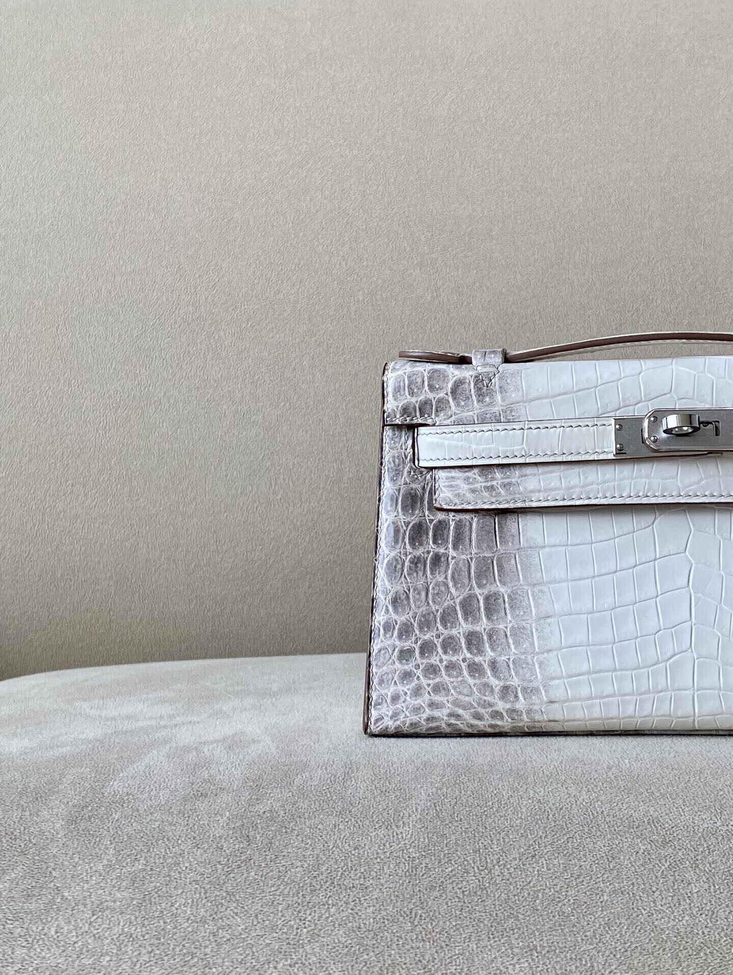 Himalayan Kelly1 Mini 22 crocodile skin