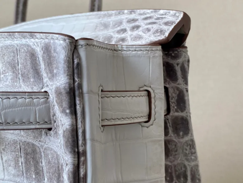 Birkin Himalayan 25-30 crocodile skin