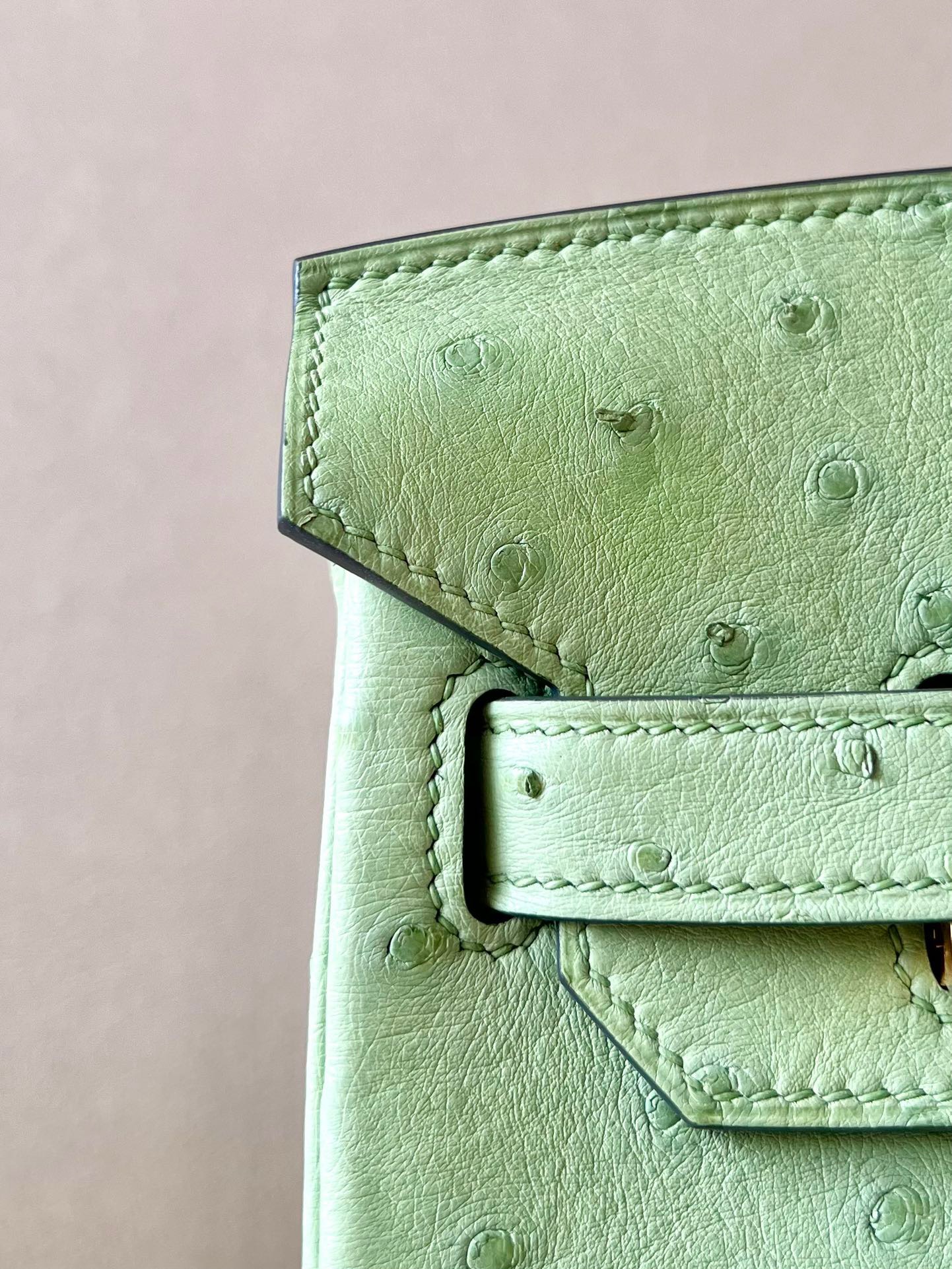 Advanced customization Birkin 25-30 Ostrich skin