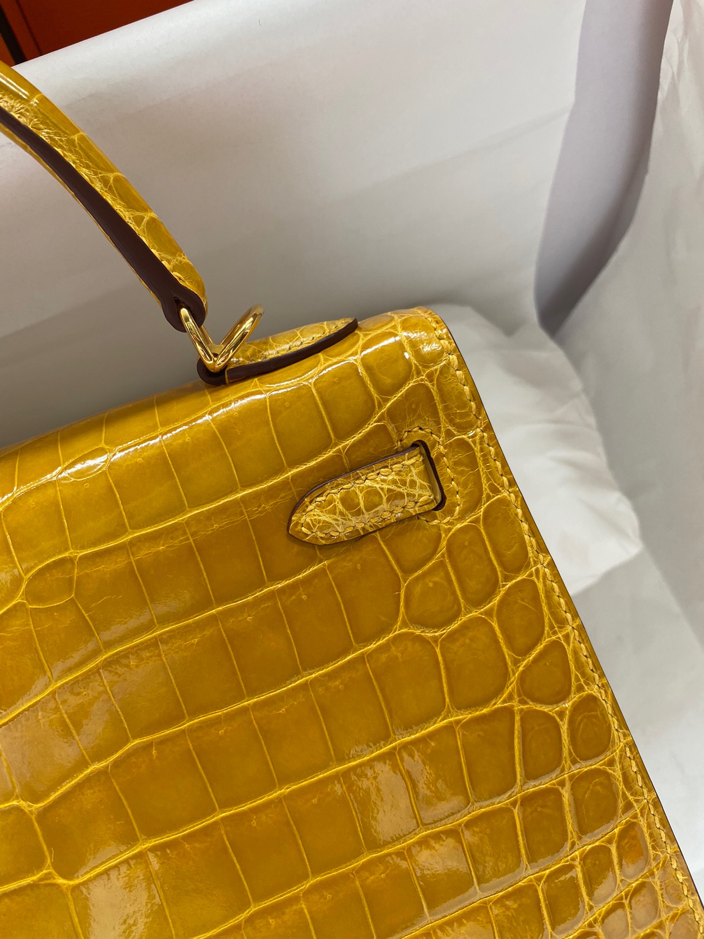 Advanced Customization Kelly 25 crocodile skin