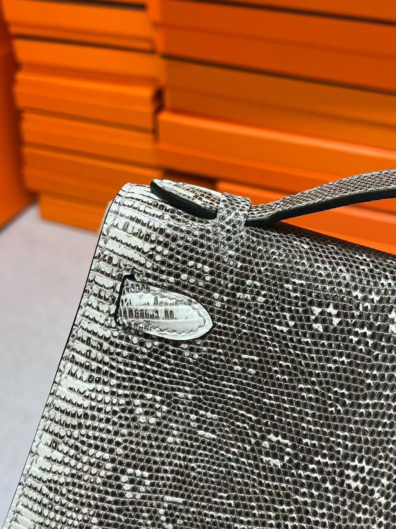 Advanced customization Kelly1 Lizard skin