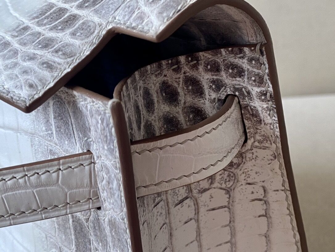 Himalayan Kelly1 Mini 22 crocodile skin