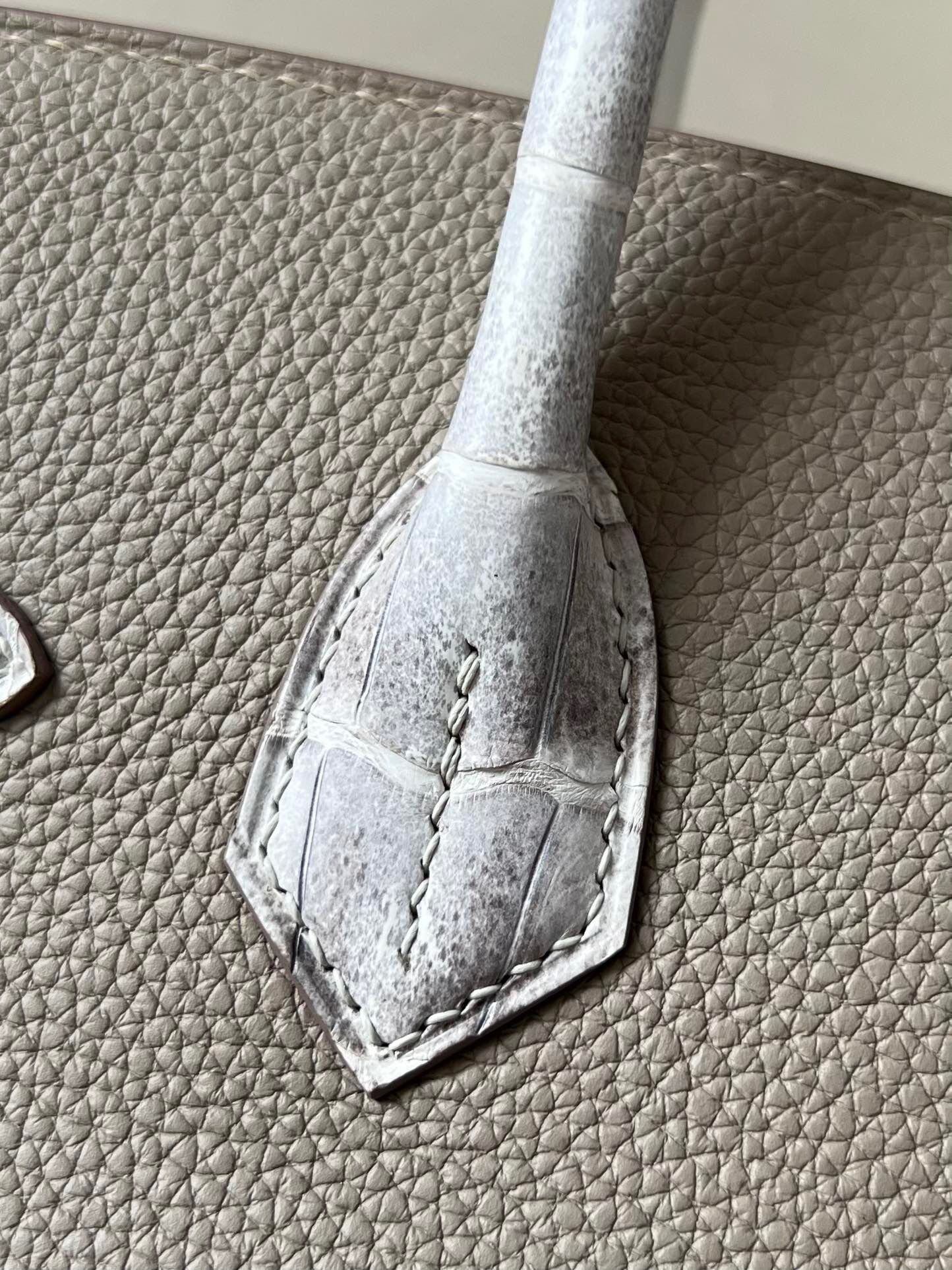 Birkin 30 TOGO crocodile skin